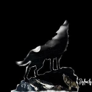 Meet your Posher, Dylan